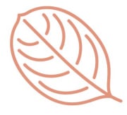 Add the Native Landscape Design company logo